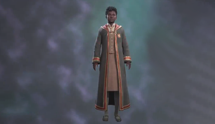 Distinguished School Robe