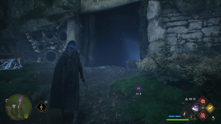 Forbidden Forest Treasure Vault 1 World Location