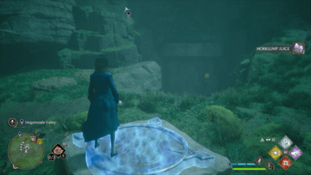 Hogsmeade Valley Treasure Vault 5 World Location