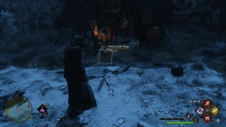 Hebridead Black Scale