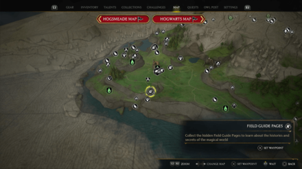 Lovage Bouquet Map View