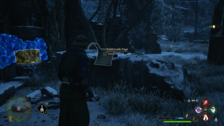 Peruvian Instant Darkness Powder