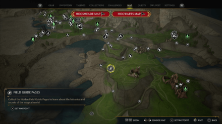 Pungus Onion Bulb Map View