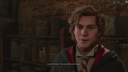 Hogwarts Legacy - Garreth Weasley