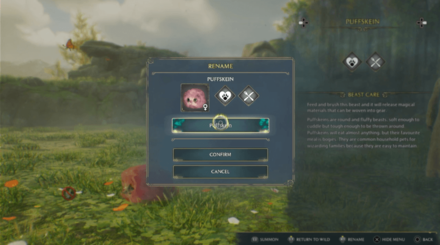 Hogwarts Legacy - Select Current Name and Type