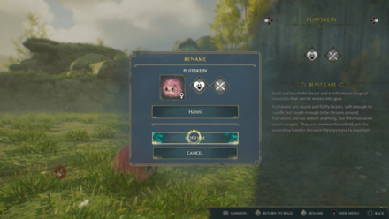 Hogwarts Legacy - Select Confirm