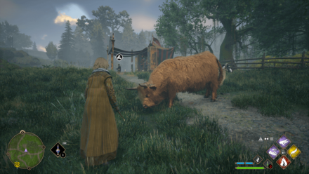 Hogwarts Legacy - Cows at Leopold Babcocke