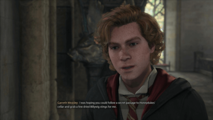 Hogwarts Legacy Easter Egg Weasley