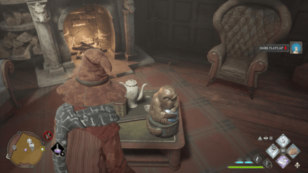 Hogwarts Legacy - The Three Broomsticks Demiguise Statue World View