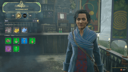 Hogwarts Legacy - Priya Treadwell Wanderer Shop