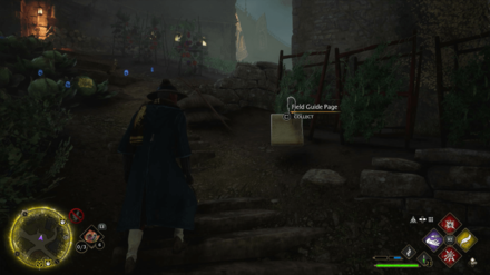 Hogsmeade Community Garden