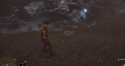 Leech Juice World View- Hogwarts Legacy