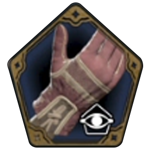 Hogwarts Regalia Gloves