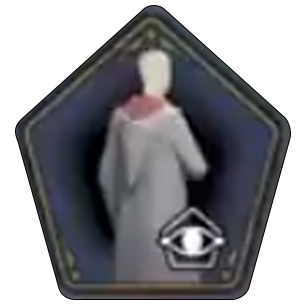 Distinguished School Robe