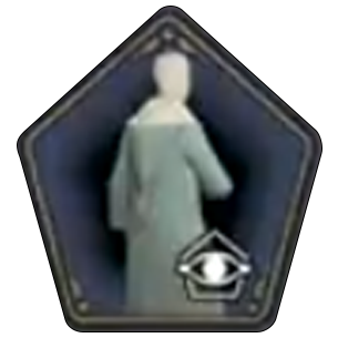 Elegant Emerald Robe