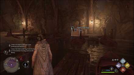 Hogwarts Legacy - Underground Harbour Field Guide page