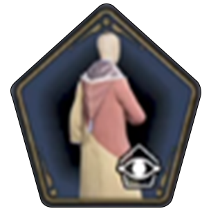 Two-Tone House Cloak