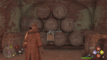 Hufflepuff Barrels
