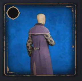 Hogwarts Legacy - Superb Gear