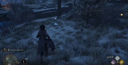 Hogwarts Legacy - follow the trail of coins