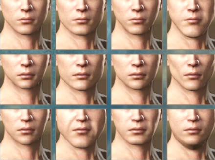 Wild Hearts -  Face Shape Customization
