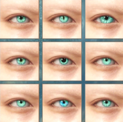 Wild Hearts -  Irises and Pupils Customization