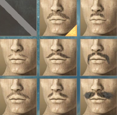 Wild Hearts -  Beard Customization 2