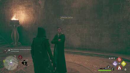 In the Shadow of the Study Slytherin Common Room