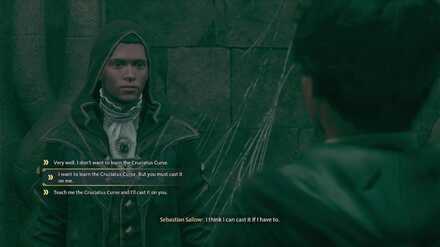 In the Shadow of the Study Cruciatus Curse