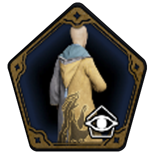 House Fan-Atic School Robe