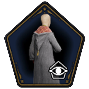 Traditional Check Cloak