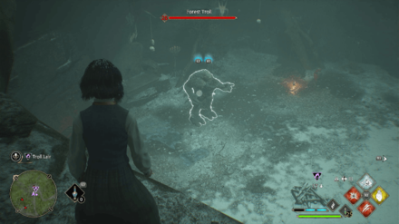 Hogwarts Legacy - Forest Troll Lair Location