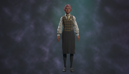 Decorous Vest School Uniform