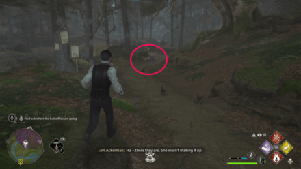 Follow the Butterflies Step 2