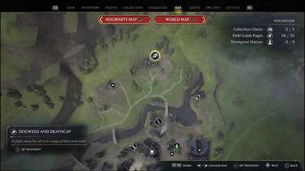 Hogwarts Legacy - combat plants location