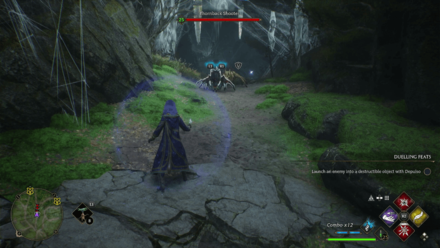 Thornback Shooter Hogwarts Legacy