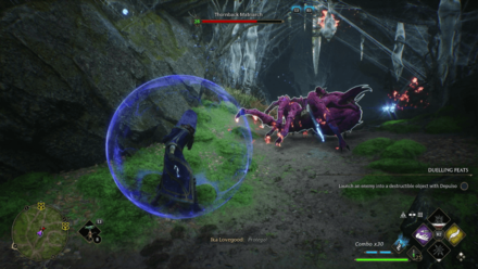 Thronback Matriarch Hogwarts Legacy