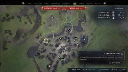 Hogwarts Legacy - Invisibility Potion and Thunderbew Potion location