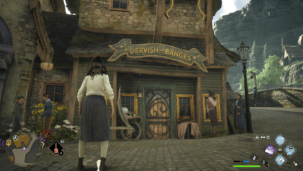 Hogwarts Legacy - Dervish and Banges.png