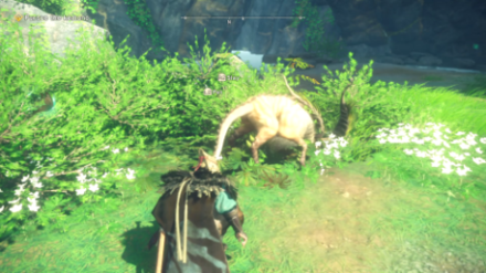 Wild Hearts - Slay or Pet