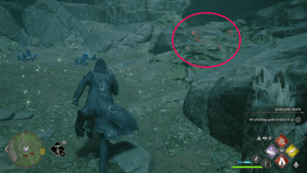 Butterfly Chest 2 Starting Location World View