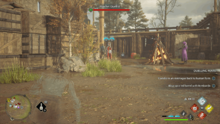 Hogwarts Legacy - Poacher Duelist Location