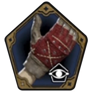 Unbeatable Quidditch Gloves