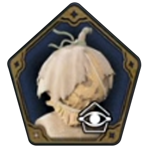 Halloween Pumpkin Mask