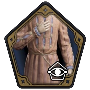 Hogwarts Regalia Ensemble