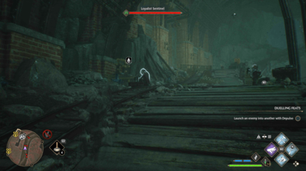 Hogwarts Legacy - Loyalist Sentinel World View