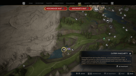 Hogwarts Legacy - Catrin Haggarty Map Location