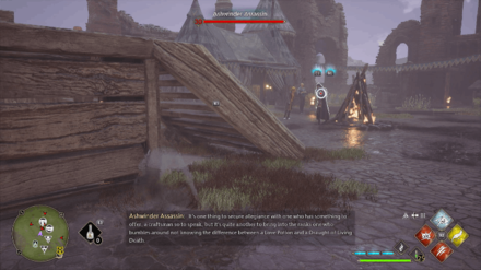 Hogwarts Legacy - Ashwinder Assassin Location