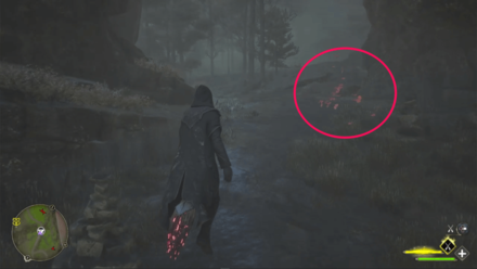 Butterfly Chest 4 Starting Location World View