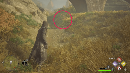 Butterfly Chest 6 Starting Location World View